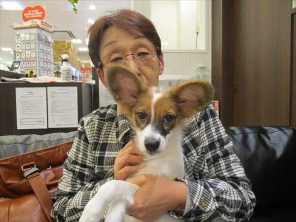 写真