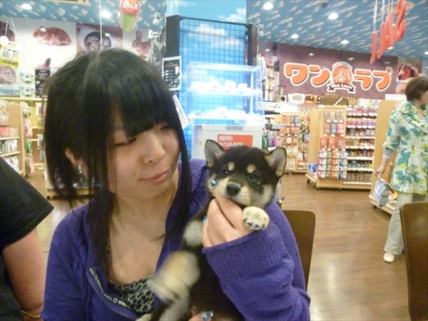 写真