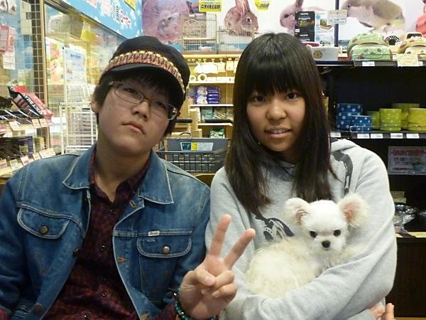 写真