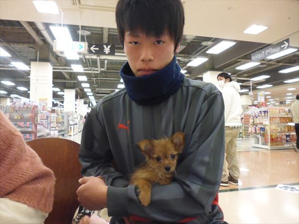 写真
