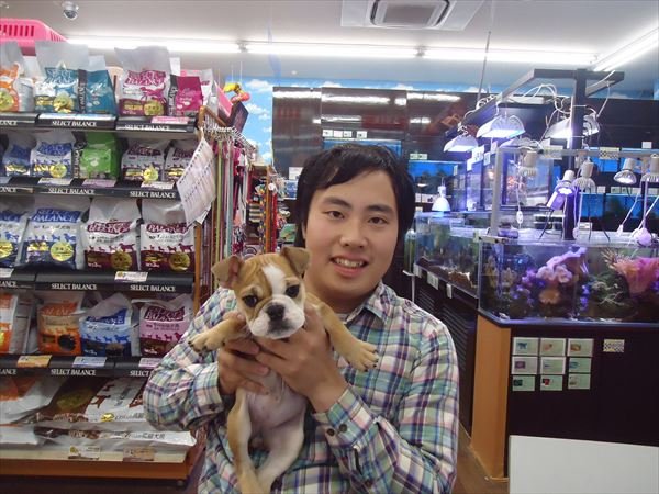 写真