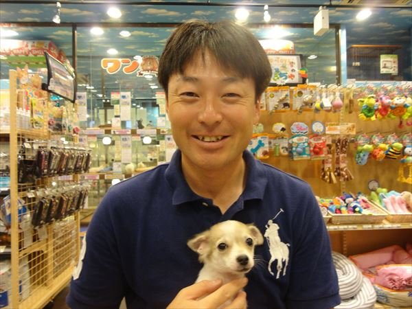 写真