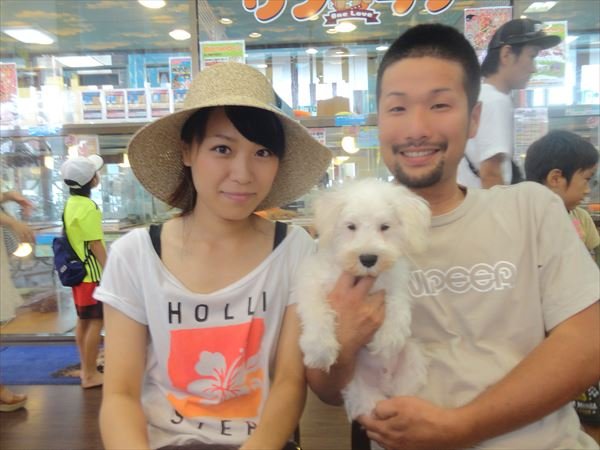 写真