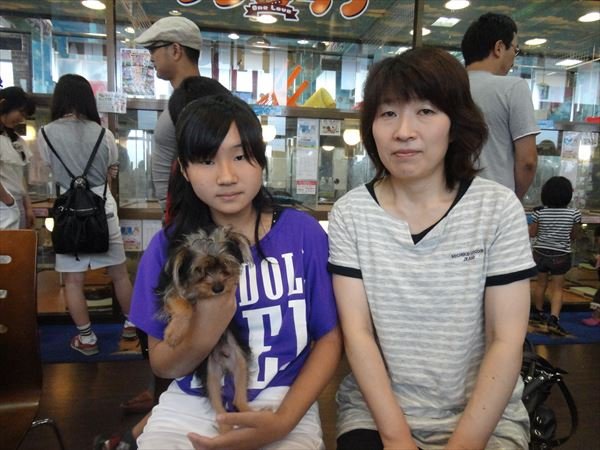 写真