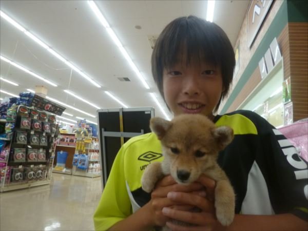 写真