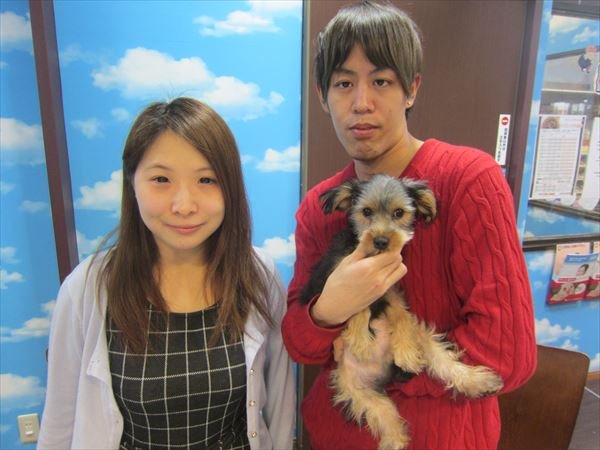 写真