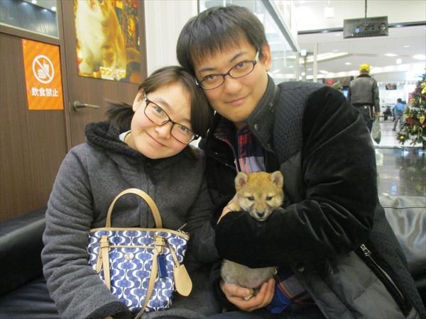 写真