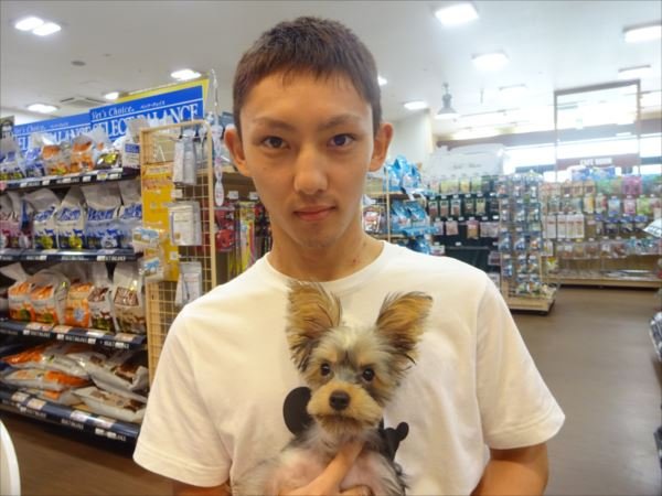 写真