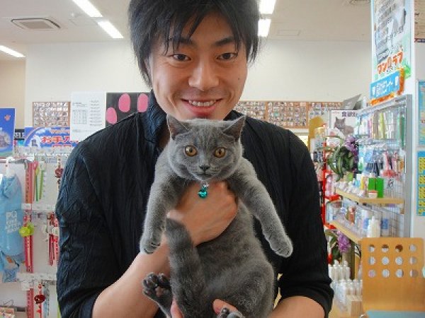 写真