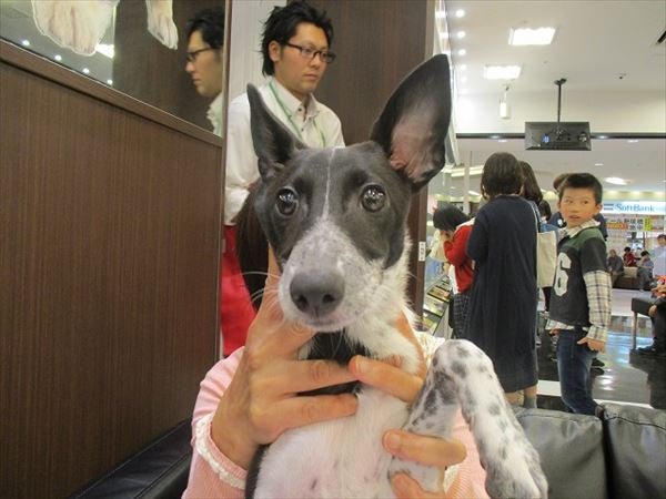 写真