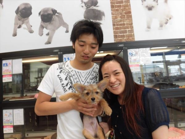 巣立った子犬子猫たち 詳細 愛知県名古屋市のペットショップ ワンラブ 巣立った子犬子猫たち 詳細 愛知県名古屋市のペットショップ ワンラブ