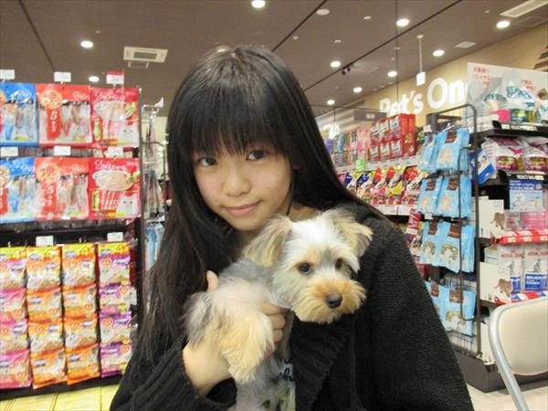 写真