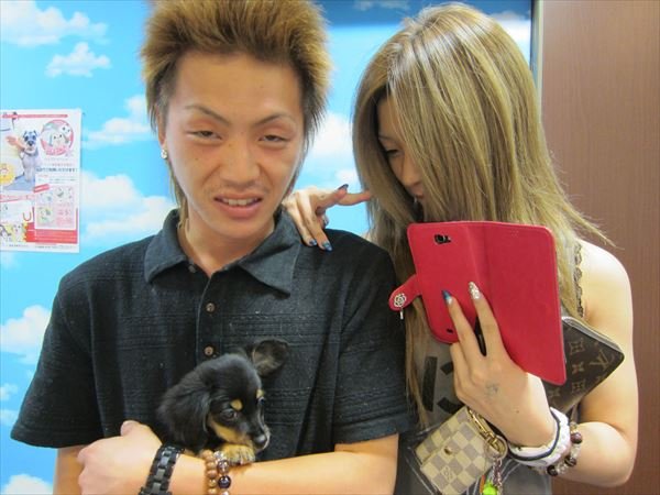 写真