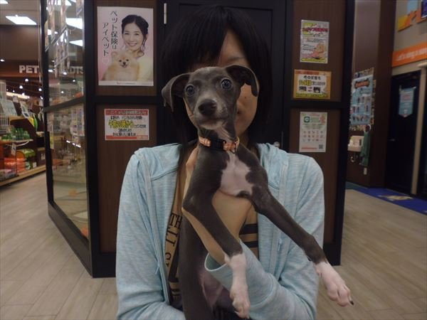 写真