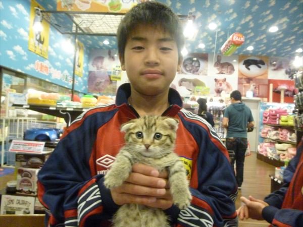 写真