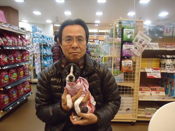 写真