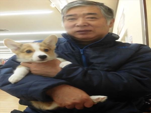写真