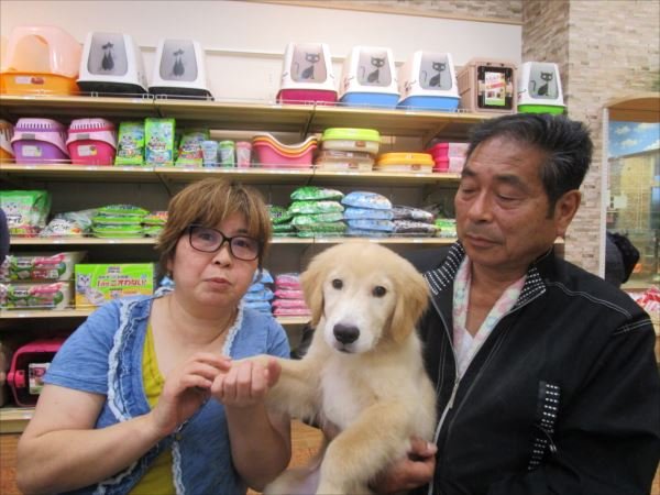 写真