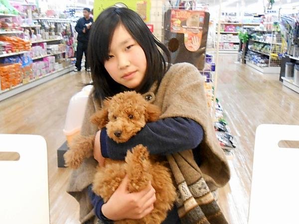 写真