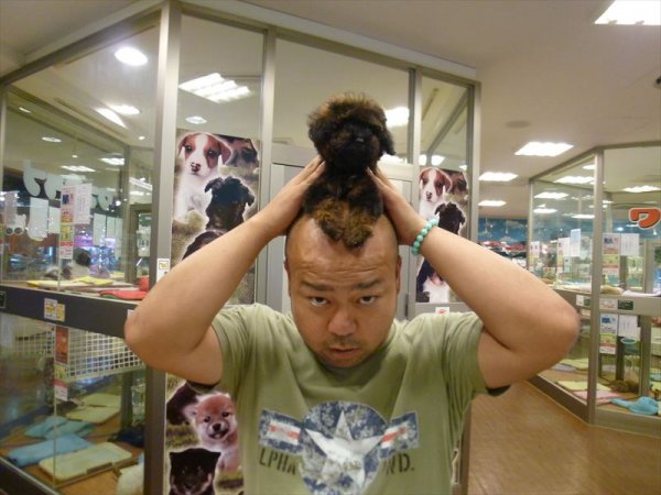 写真