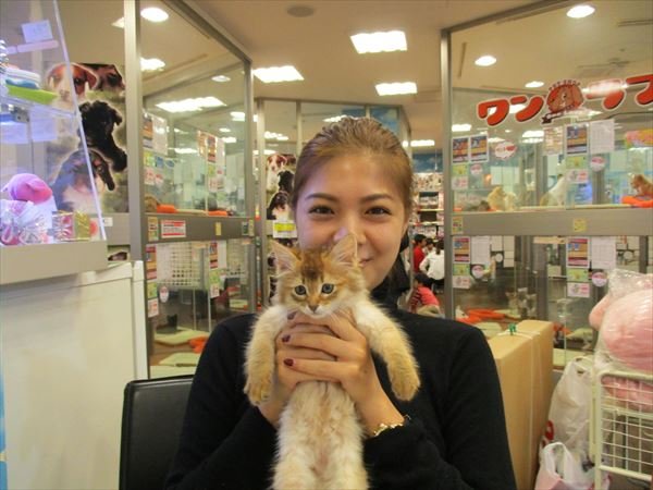 写真