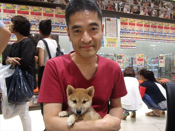 写真