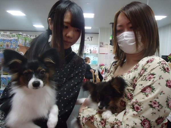 写真