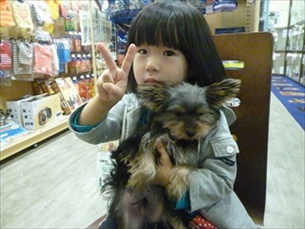 写真