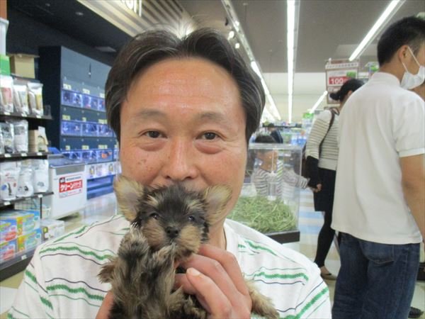 写真