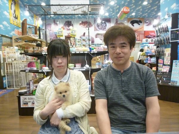 写真
