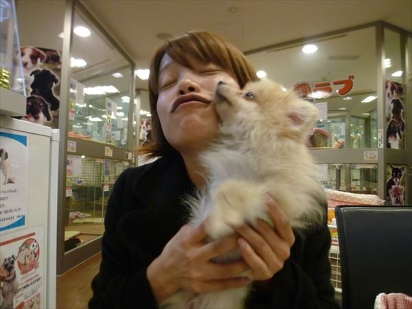写真