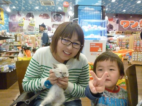 写真