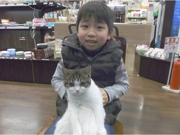 写真