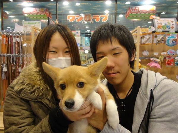写真