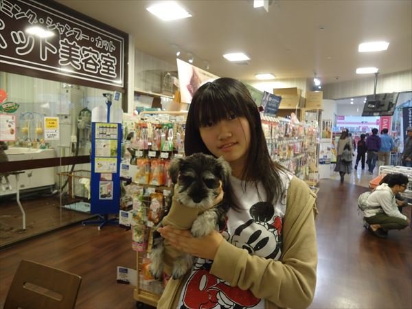 写真