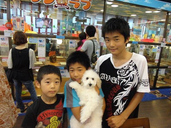 写真