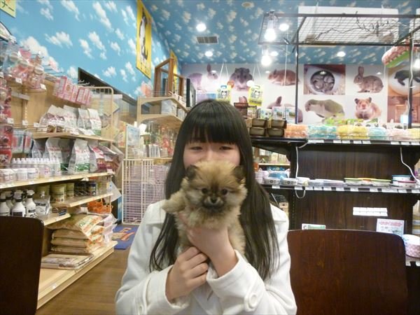 写真