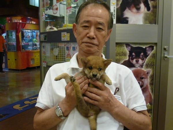 写真