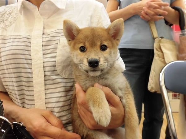 写真