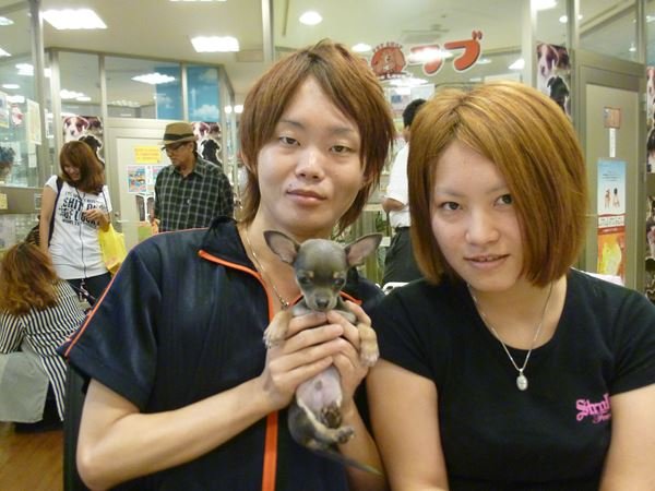 写真