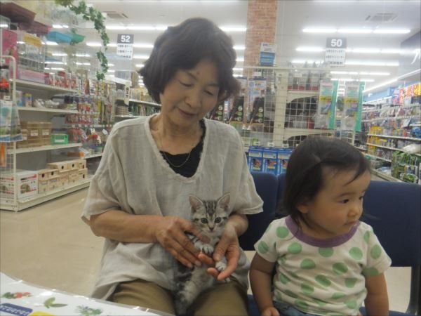 写真