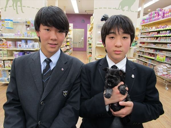 写真