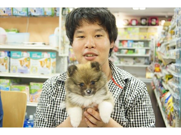 写真