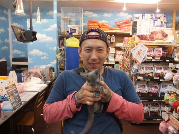 写真