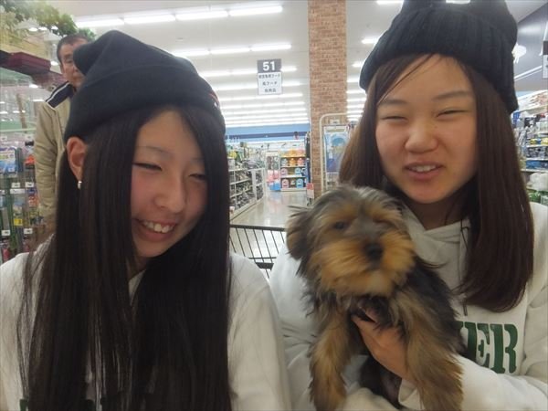 写真