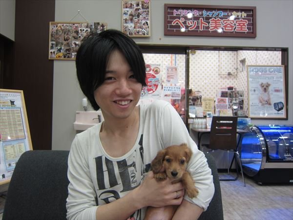 写真