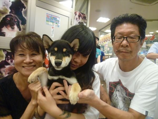 写真