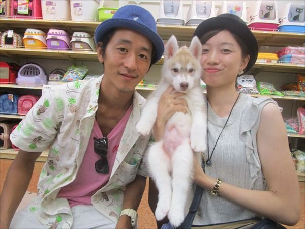 写真