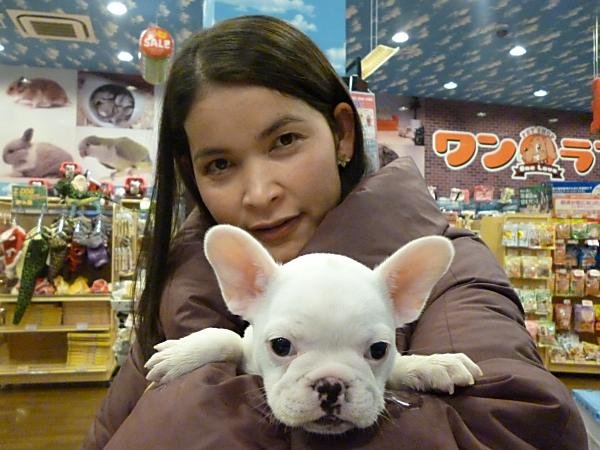 写真
