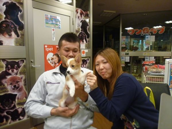 写真